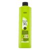 L´Oréal Professionnel Inoa Color Oxydant 9% / 30 Vol. Entwickler-Emulsion 1000 ml