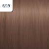 Wella Professionals Illumina Color Professionelle permanente Haarfarbe 6/19 60 ml