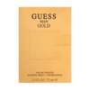 Guess Guess Gold Eau de Toilette for men 75 ml
