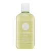 Kemon Liding Energy Shampoo Champú fortificante para la caída del cabello 250 ml