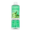 Eveline Organic Aloe apă micelară pentru toate tipurile de piele 400 ml