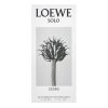 Loewe Solo Cedro Eau de Toilette für Herren 50 ml