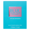 Antonio Banderas Blue Seduction for Women Eau de Toilette voor vrouwen 50 ml