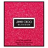 Jimmy Choo Blossom Eau de Parfum voor vrouwen 100 ml
