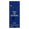 Iceberg Eau de Iceberg Cedar toaletná voda pre mužov 100 ml