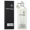 Montale Chypré - Fruité Eau de Parfum uniszex 100 ml