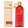 Montale Red Vetiver Парфюмна вода за мъже 100 ml