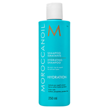 Moroccanoil Hydration Hydrating Shampoo shampoo for dry hair 250 ml