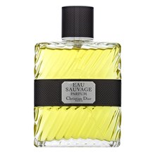 Dior (Christian Dior) Eau Sauvage Parfum 2017 parfémovaná voda pre mužov 100 ml