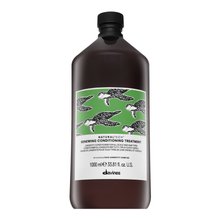 Davines Natural Tech Renewing Conditioning Treatment restorative care for all hair types 1000 ml