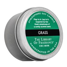 The Library Of Fragrance Grass vela perfumada 142 g