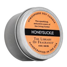 The Library Of Fragrance Honeysuckle scented candle 142 g