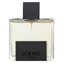 Loewe Solo Loewe Mercurio Eau de Parfum voor mannen 100 ml