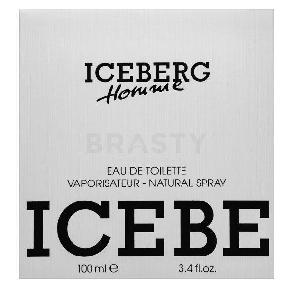 Iceberg Iceberg Homme woda toaletowa dla mężczyzn 100 ml