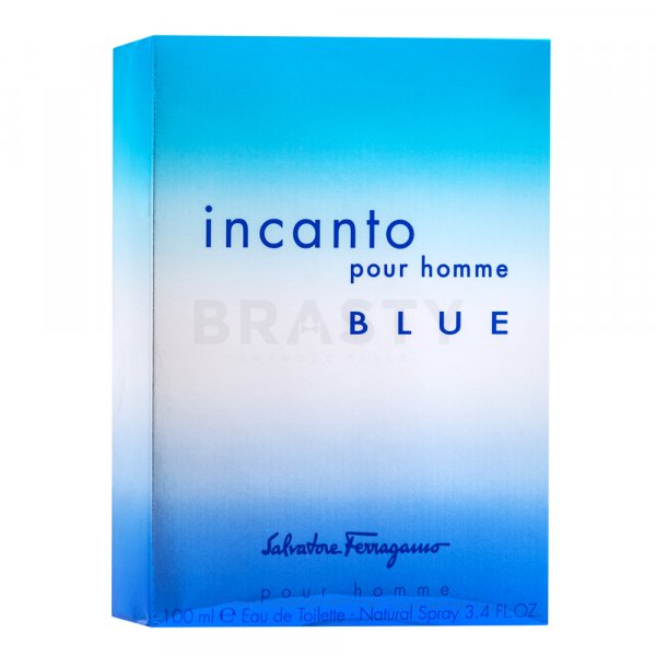 Salvatore Ferragamo Incanto Blue Eau de Toilette voor mannen 100 ml