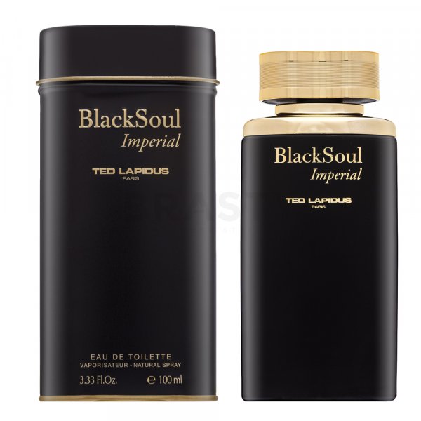 Ted Lapidus Black Soul Imperial Eau de Toilette für Herren 100 ml