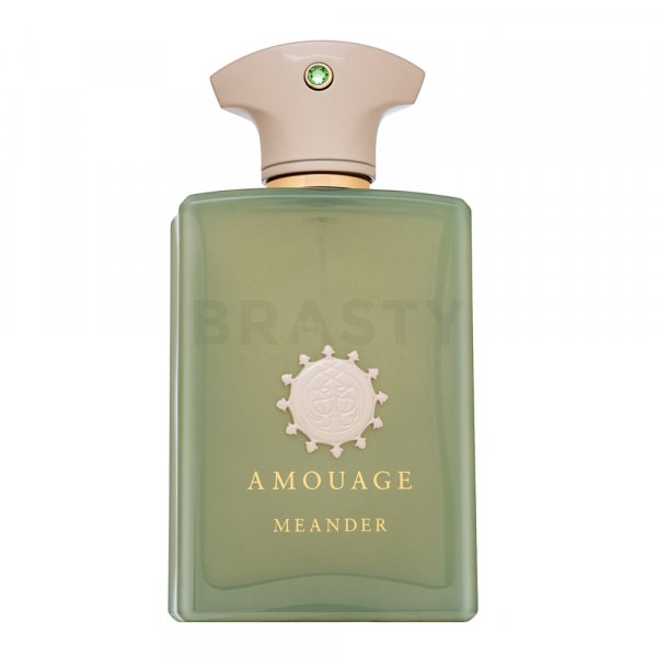 Amouage Meander Eau de Parfum voor mannen 100 ml