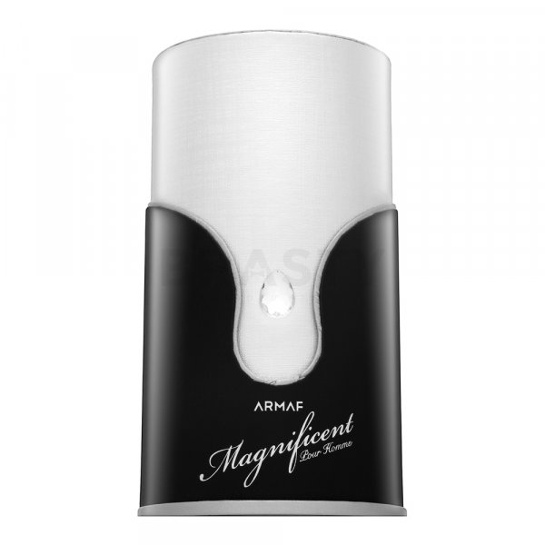 Armaf Magnificent Pour Homme Eau de Parfum for men 100 ml