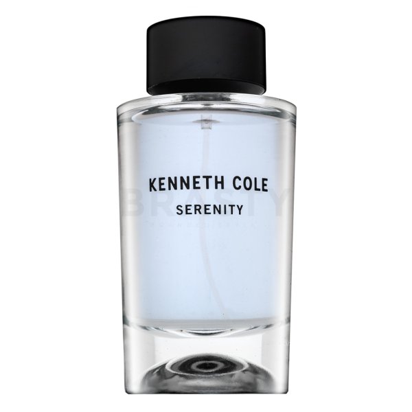 Kenneth Cole Serenity Eau de Toilette for men 100 ml