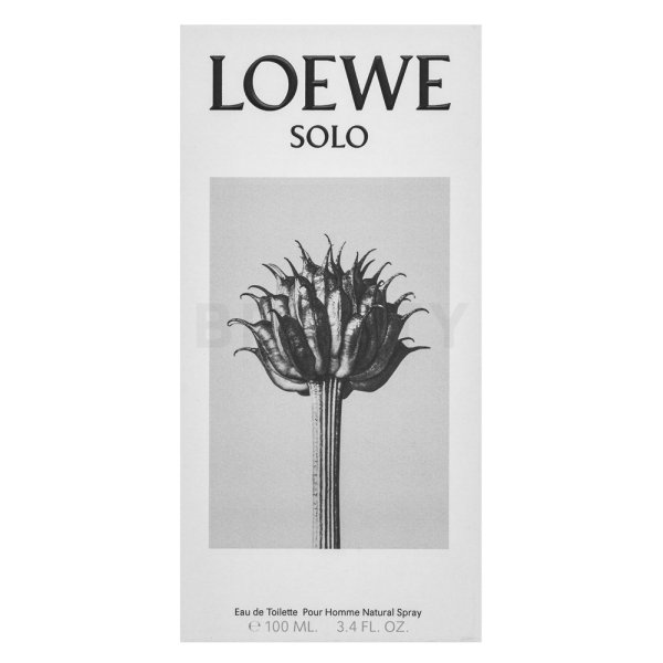Loewe Solo Loewe Pour Homme Eau de Toilette voor mannen 100 ml
