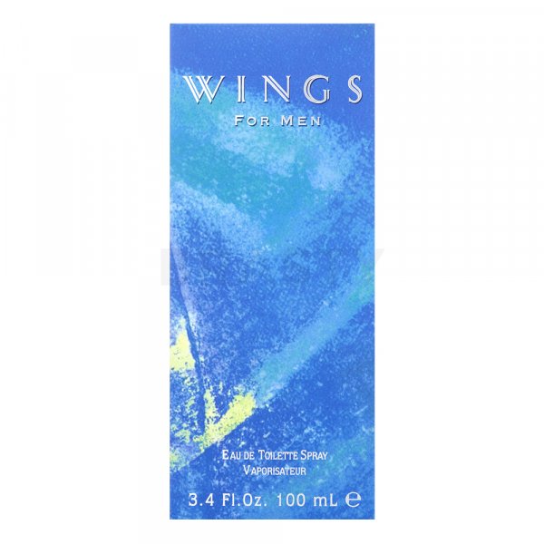 Giorgio Beverly Hills Wings for Men Eau de Toilette for men 100 ml