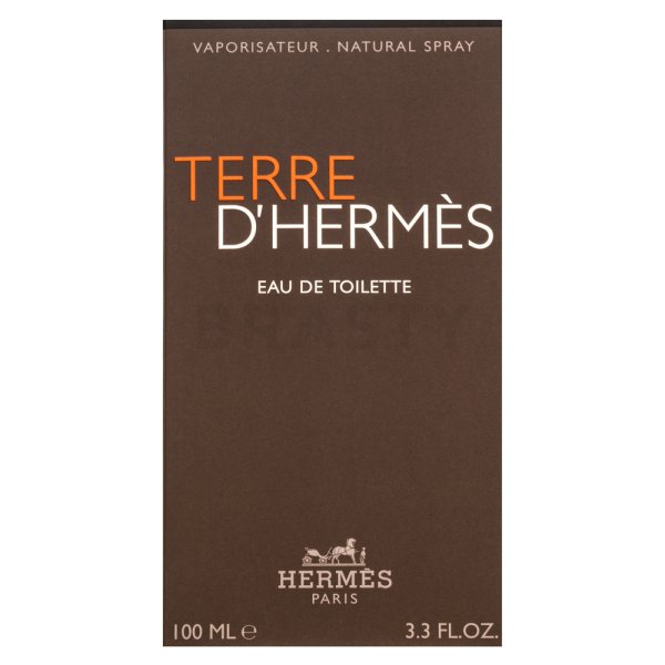 Hermès Terre D'Hermes Eau de Toilette voor mannen 100 ml