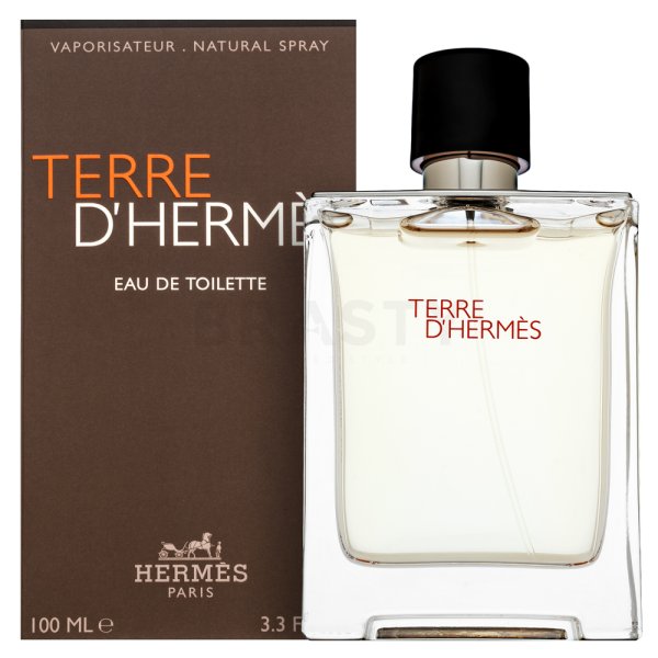 Hermès Terre D'Hermes Eau de Toilette für Herren 100 ml