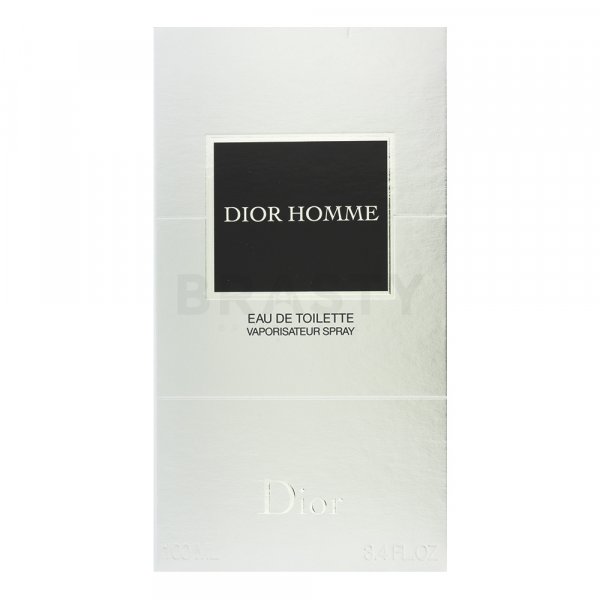 Dior (Christian Dior) Dior Homme 2011 toaletní voda pro muže 100 ml