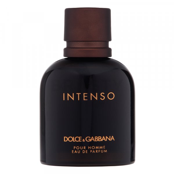 Dolce & Gabbana Pour Homme Intenso parfémovaná voda pre mužov 75 ml