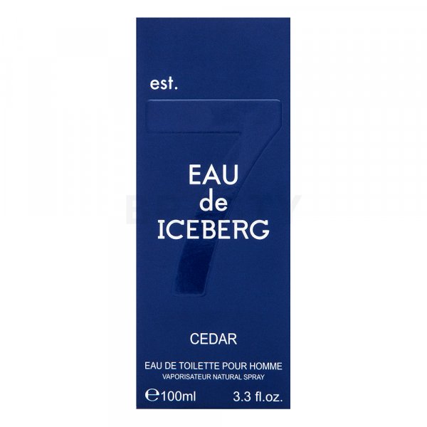 Iceberg Eau de Iceberg Cedar Eau de Toilette für Herren 100 ml