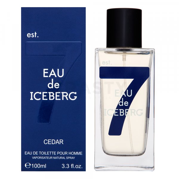Iceberg Eau de Iceberg Cedar Eau de Toilette für Herren 100 ml