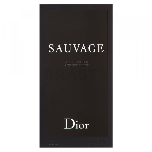 Dior (Christian Dior) Sauvage Eau de Toilette for men 100 ml