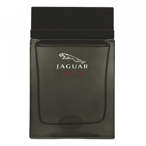 Jaguar Vision III Eau de Toilette da uomo 100 ml