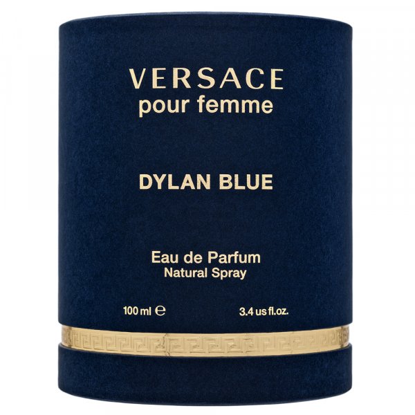Versace Pour Femme Dylan Blue Eau de Parfum voor vrouwen 100 ml