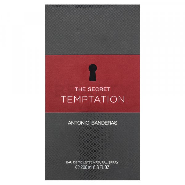 Antonio Banderas The Secret Temptation Eau de Toilette for men 200 ml