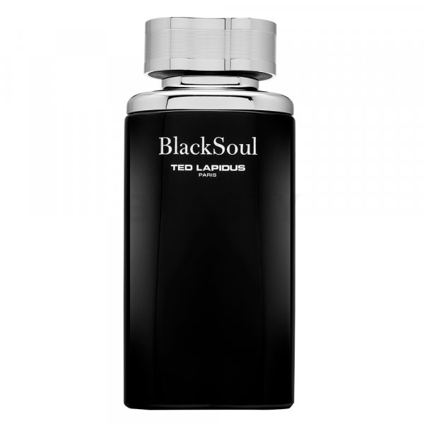 Ted Lapidus Black Soul Eau de Toilette für Herren 100 ml