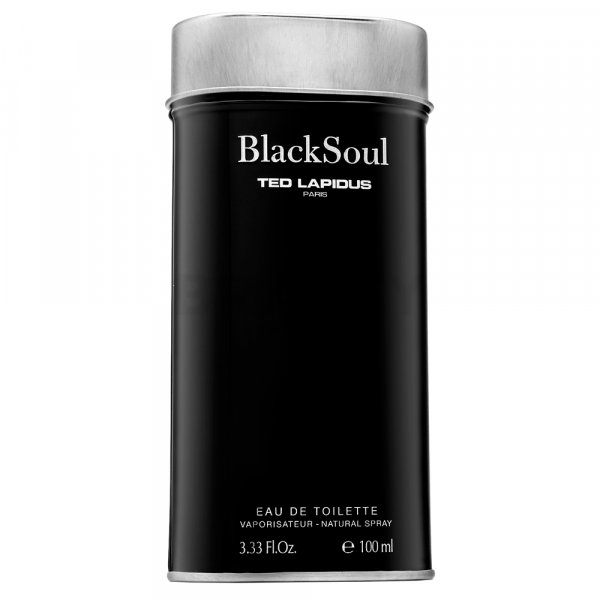 Ted Lapidus Black Soul Eau de Toilette für Herren 100 ml
