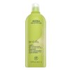 Aveda Be Curly Shampoo šampon pro vlnité a kudrnaté vlasy 1000 ml