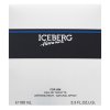 Iceberg Homme Eau de Toilette for men 100 ml