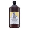 Davines Natural Tech Purifying Shampoo Shampoo gegen Schuppen 1000 ml