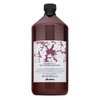 Davines Natural Tech Replumping Shampoo ochranný šampon pro suché a lámavé vlasy 1000 ml
