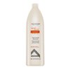 Alfaparf Milano Semi Di Lino Discipline Frizz Control Shampoo shampoo levigante per capelli ruvidi e ribelli 1000 ml
