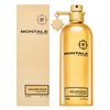 Montale Golden Aoud parfémovaná voda unisex 100 ml