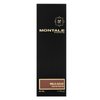 Montale Wild Oud parfémovaná voda unisex 50 ml