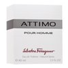 Salvatore Ferragamo Attimo Pour Homme woda toaletowa dla mężczyzn 40 ml