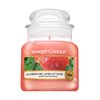 Yankee Candle Sun-Drenched Apricot Rose vonná svíčka 104 g