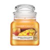 Yankee Candle Mango Peach Salsa candela profumata 104 g