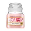 Yankee Candle Blush Bouquet vonná svíčka 104 g