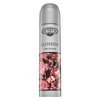 Cuba Blossom Eau de Parfum for women 100 ml