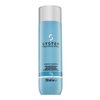 System Professional Hydrate Shampoo vyživující šampon s hydratačním účinkem 250 ml